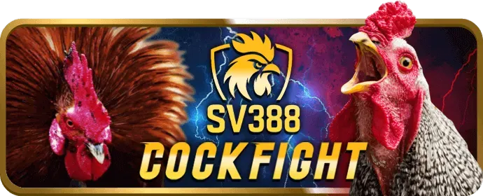 Hình ảnh đại diện cho dịch vụ hỗ trợ khách hàng 24/7 của rwin bet